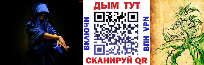 мориарти как зайти  Пермь  Бошки марихуана планчик 